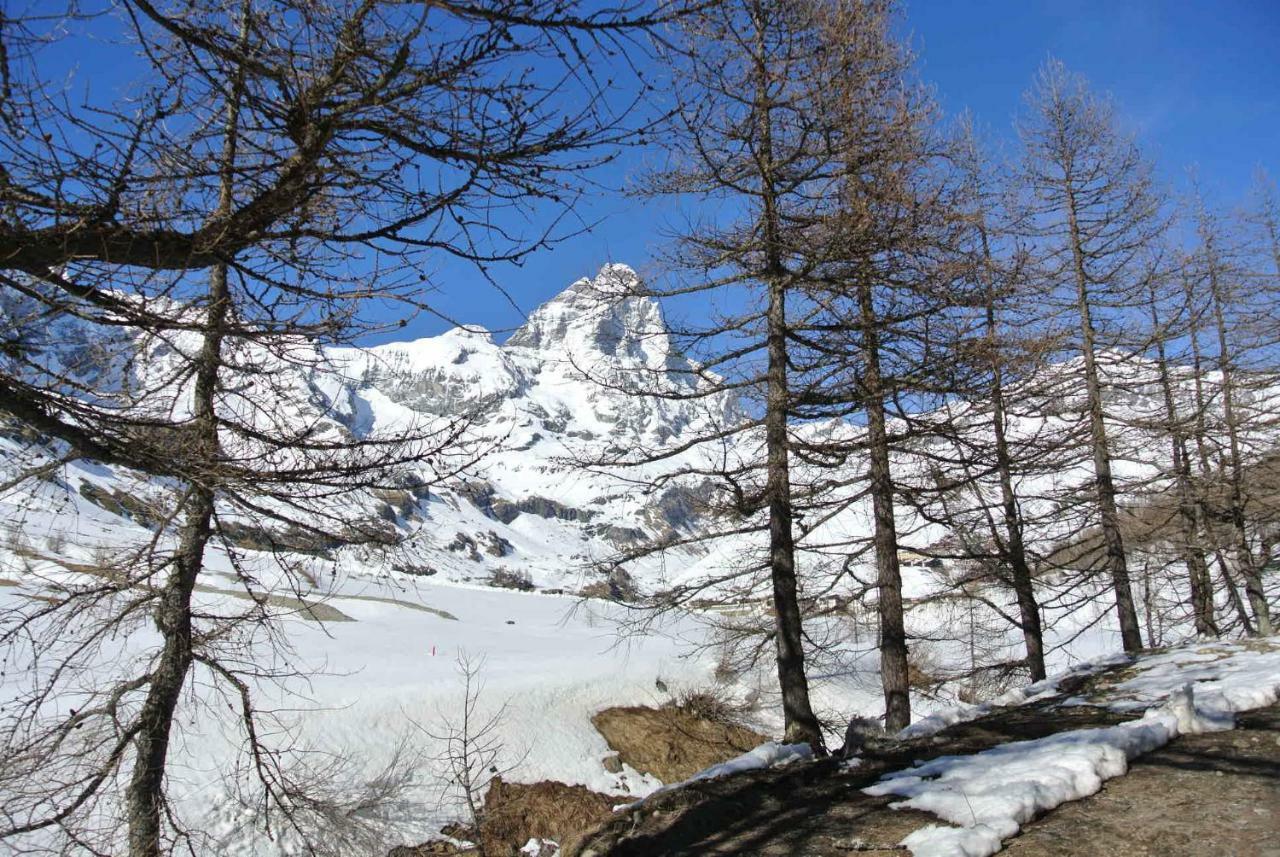 President Palace - Breuil Cervinia -Appartamento 6 - Cir 0634 Breuil-Cervinia Exterior foto