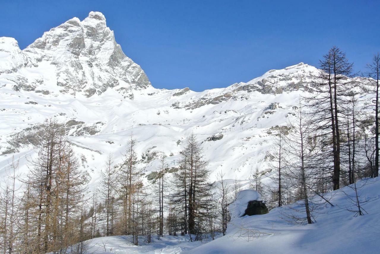 President Palace - Breuil Cervinia -Appartamento 6 - Cir 0634 Breuil-Cervinia Exterior foto
